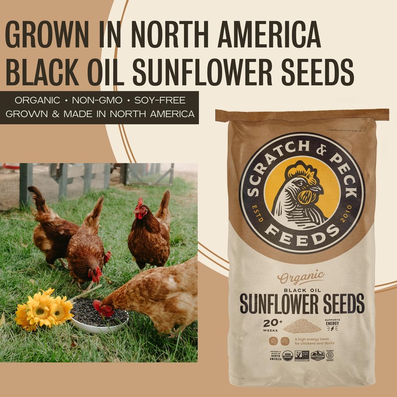 Scratch and Peck Black Oil Sunflower Seeds Chicken and Duck