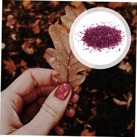 Housoutil 1bag Diy Crushed Glass Nail Art Decor Irregular Shiny Glass Pieces for Crafting Pack Nail Design Projects Cell Phone Cases More