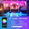 RIGIDON 2 x 30 W RGB LED Spotlight App Control,