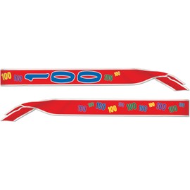 100 Satin Sash Party Accessory (1 count) (1/Pkg)