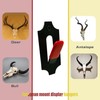 PLAIRC 6 Pack European Mount Skull Hanger, Deer Skull Mount