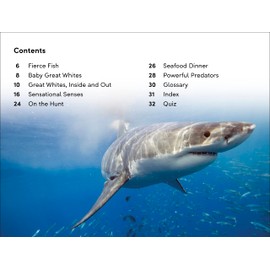 DK Super Readers Level 2 Great White Sharks