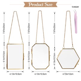 LTAXAF Pressed Flower Glass Picture Frames Hanging Frame Gold Floating Photo Frame Clear Horizontal Vertical Frames with Chain for Gallery Vintage Artwork Display (3 Sets)