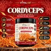 Hongo Cordyceps - Extracto Puro en Polvo 100 g -