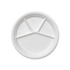 Disposable Namaste 25 Party Dinner Plates,12.5 inch Platter Size, Eco-friendly
