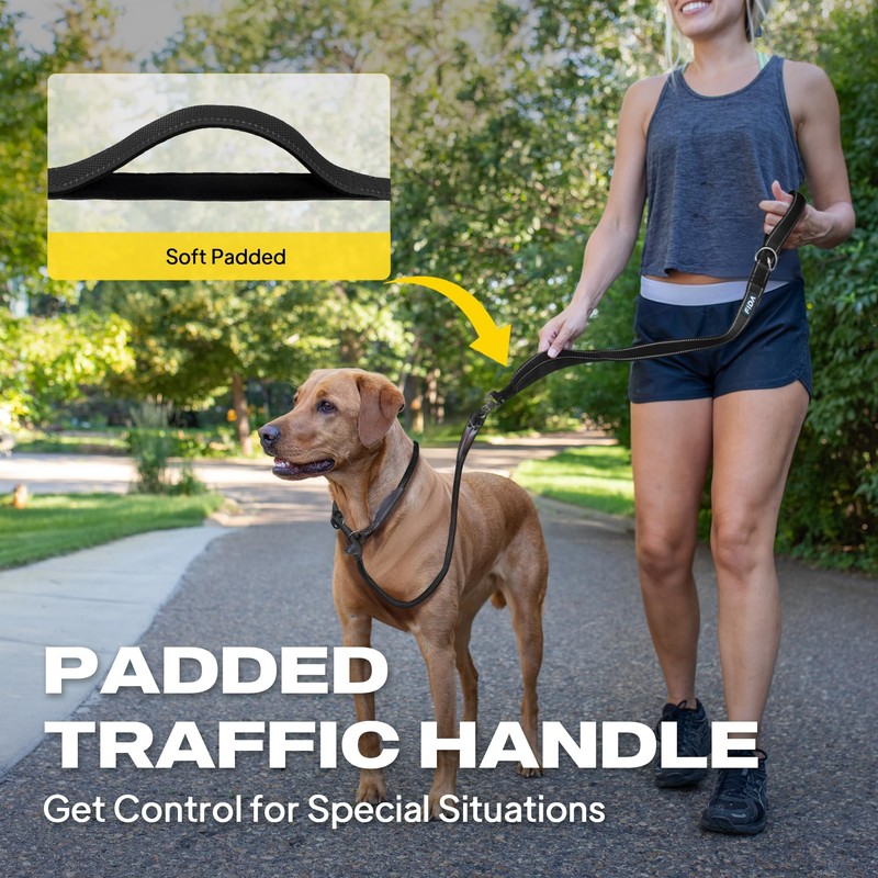 Fida 2-in-1 Slip Leads for Dogs with Double Handles, Tangle