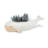 Abbott Collection Long Whale Planter - Stoneware (12" L)