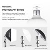 Neewer E26 24W LED Light Bulbs, 2 Packs, 2160 Lumens/5700K/CRI