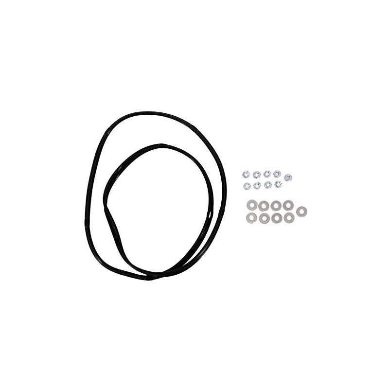 Pentair 474952 Chamber Gasket Kit for Mastertemp 125 Heaters
