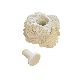 Coral Frag Propagation Rock x 1 With Plug