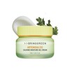 BRING GREEN Artemisia Cera Calming Moisture Gel Cream | Vegan