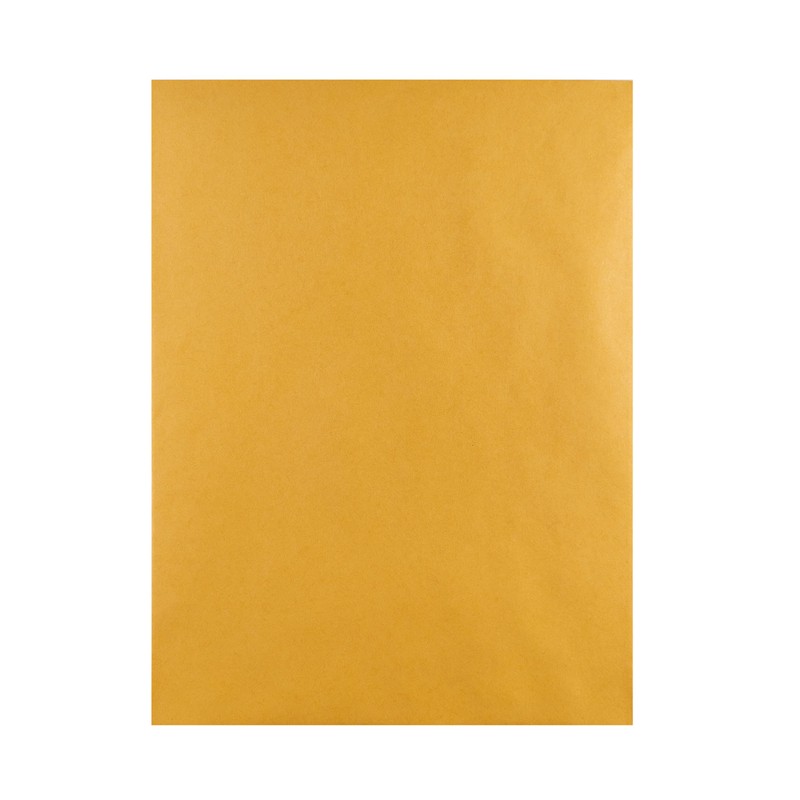 Hilroy Press-it Seal-it Kraft Envelopes, 9 X 12 Inches, 25