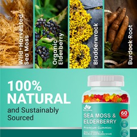 BIO VITALICA Sea Moss Gummies Elderberry BioVitalica - Vitamin C D + Zinc - Irish Seamoss Vegan Gummy with Sea Moss Gel & Powder for Immunity, Detox - for Adults and Kids