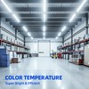 Barrina T8 LED Bulbs 4 Foot, Type B, 24W, 3200LM,