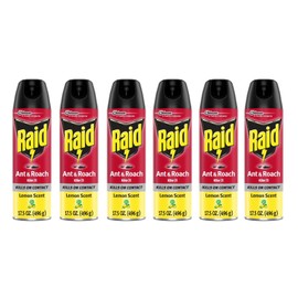 Raid 6 Cans Raid Ant & Roach Killer 26 Lemon Scent Spray Cans 17.5 oz (6-pack)