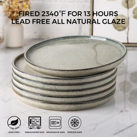 AmorArc Ceramic Plates Set of 6, 8.5 Inch Reactive Glaze Stoneware Plates set, Dessert, Salad, Appetizer, Small Dinner Plates, Microwave, Dishwasher Safe, Scratch Resistant Dishes Set Kitchen Plates