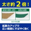 Golden Bird Swirls, Thick Rolls, Also Effective for Flies, 30