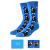 sockfun Novelty Cat Socks Crazy Silly Fun Socks for Men