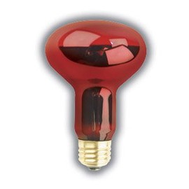 PET LIGHT BULB 75 WATTS R25 RED NIGHTLITE REPTILE LAMP SUPRA LIFE