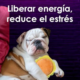 Fancy Pets Juguete para Perro en Forma de Pizza con Squeaker Funny Food