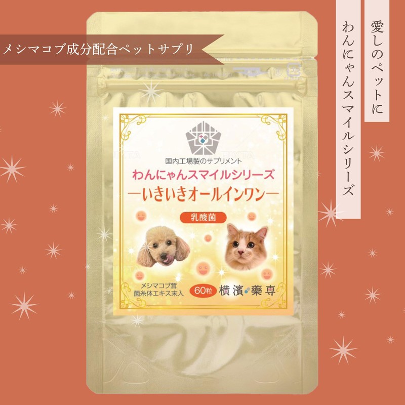 Wannyan Smile Series Lactic Acid Bacteria Supplement "Ikikiki All-in-One (Lactic