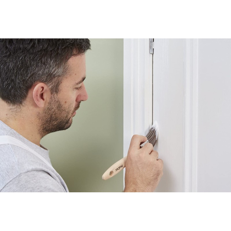 ProDec PBPT049 Synthetic Brushes - Pack of 6