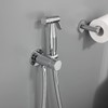 Chrome Handheld Bidet Sprayer for Toilet Warm Water, WiPPhs Stainless