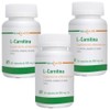 Nutrasien100 L-Carnitina 500 mg | Con Té Verde y Jengibre