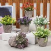 6 Piezas de Plantas Artificiales Mini Macetas,Fake Planta de Plástico,Flor