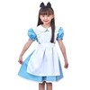 Party City AQUA Dress Kids Cosplay Costume, US Kids Size