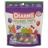 Charms, Assorted Organic Pops, 4.49 Ounce, 25 Count
