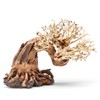 Ultum Nature Systems Bonsai - Handcrafted Hardscape Driftwood for Aquarium,