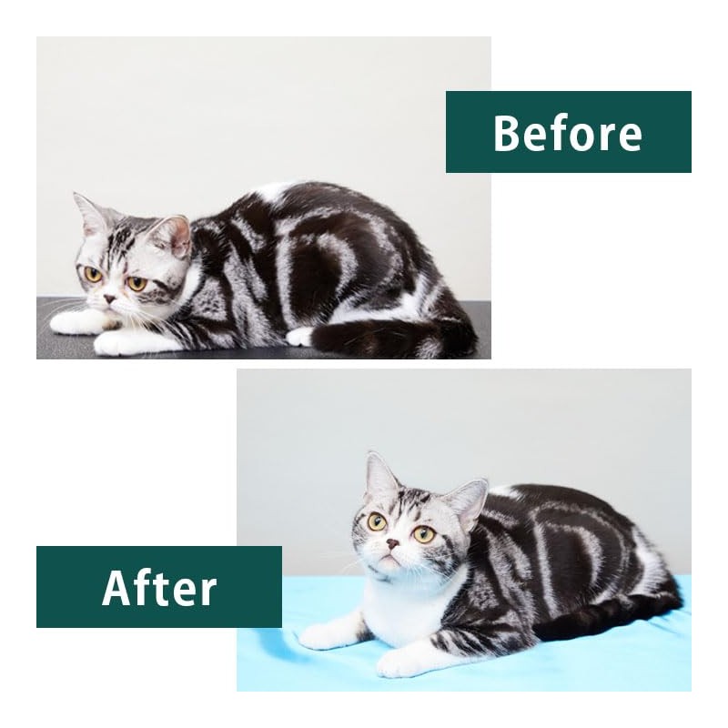 A.P.D.C. Cat Professional Standard Care Shampoo & Conditioner Mini Bottle
