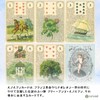 Golden Lenormand Oracle FLATLAND Japanese Instruction Manual Included (English Language