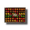 Bergen Marzipan 54 piece Gold Box