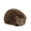 Frith Womens Sculpture TM044 Wiggles Hedgehog Figurine Ornament Decoration