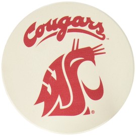 Thirstystone Stoneware Coaster Set, Washington State University
