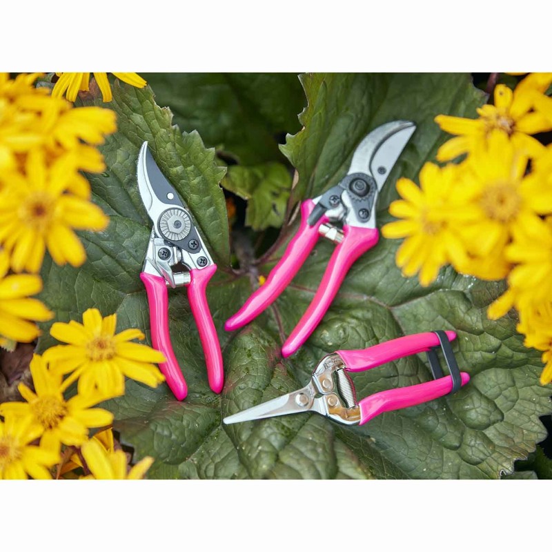 Burgon & Ball FloraBrite RHS Endorsed Bypass Secateur, 21 cm