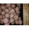 Milkweed Monarchy 100 Organic Milkweed Seed Balls - Enhance Garden,