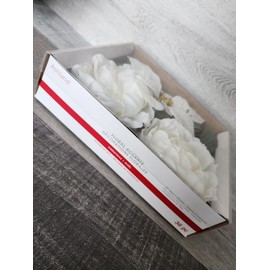 Ashland Floral Accents White Poinsetta Peony DIY Decor Wreaths 36 Pcs - Ashland Sealed