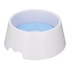Pet Slow Water Feeder Splash Proof Prevent Slip Raised Water