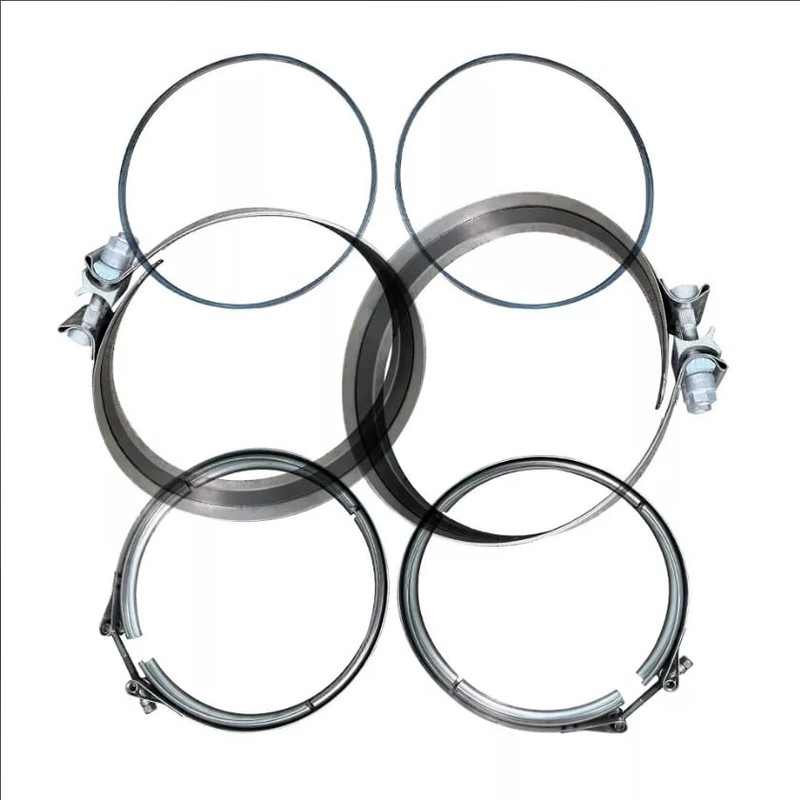 BST BSSP Filter Clamp & Gasket Kit Compatible with Det