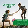 Healthspan Chondroitin (90 Tablets) | High Strength 90% Grade Chondroitin