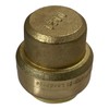 XFITTING Push Fit 3/4 Inch End Cap Plug with 1