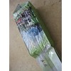 8.0 Oz (230 g) Taiwan Ali-Shan Oolong Tea/ Green Tea