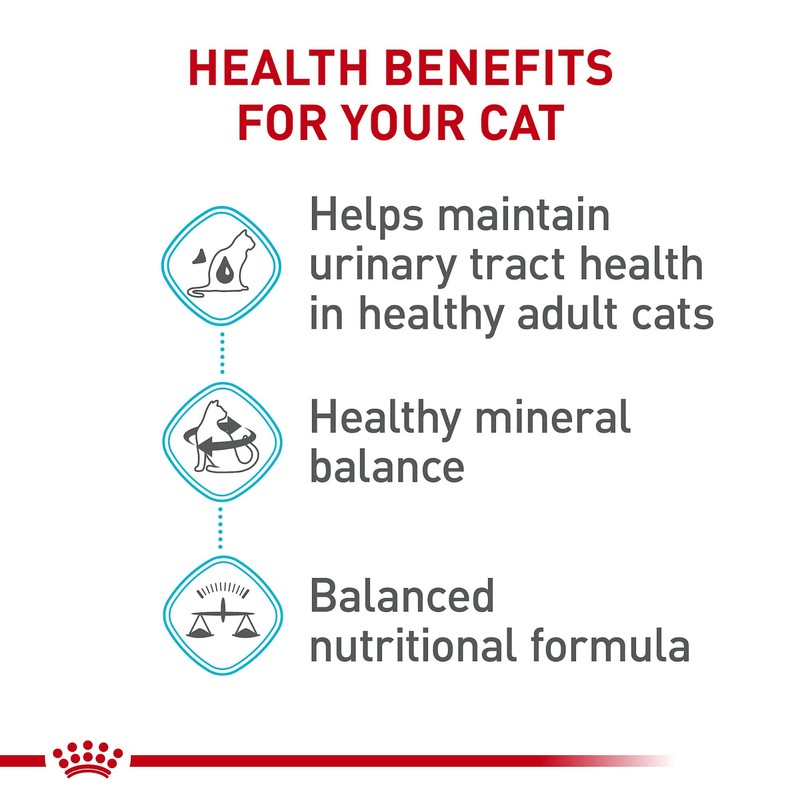 Royal Canin Feline Care Nutrition Urinary Care Adult Dry Cat