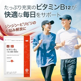 Suncerite Sapporo Vitamin B12 + B6/Folic Acid (Sustained Release) 90 Day Supply [Dietary Supplement] Vitamin B Complex Supplement Tablets Made in Japan at a GMP Certified Factory 180 Tablets