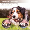 Indestructible Dog Toy to Real Breed for Dog Birthday, Dog