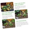 Ciieeo Sets Frog Ornaments for Home Frog Themed Miniature Resin