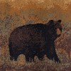 Sierra Bear Red 3x10 Runner Rug for Hallway & Walkway,